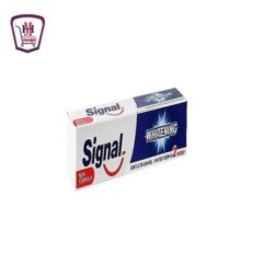 العناية الشخصية سيجنال معجون 100مل